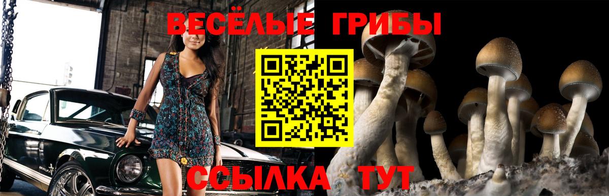 Галлюциногенные грибы GOLDEN TEACHER  Псилоцибиновые грибы MAGIC MUSHROOMS  Уварово  Вход с VPN 
